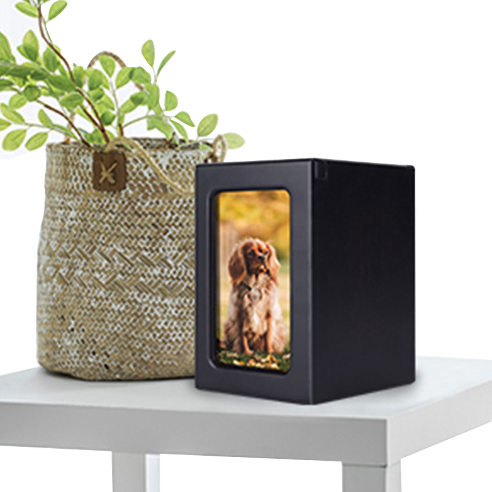 Wooden Pet Urns Wooden Cremati - Engraved Wood Frame avaliação e preço