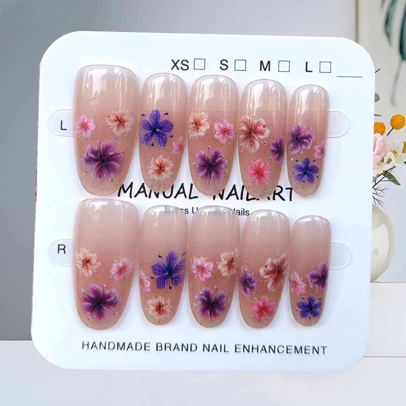 10Pcs Gentle Fairy Style Dopam - Pressed Flower Art avaliação e preço