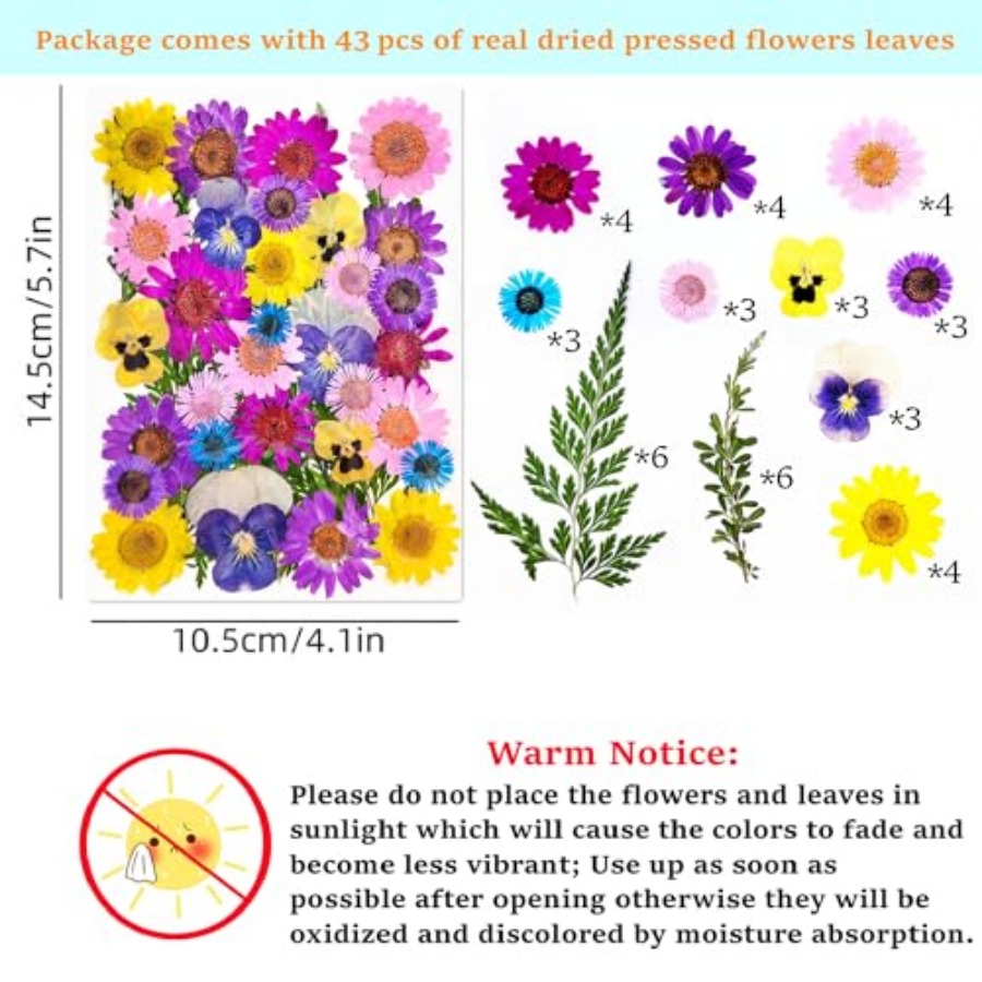 Cardstock Blank Bookmarks Set, - Dried Flower Bookmark avaliação e preço
