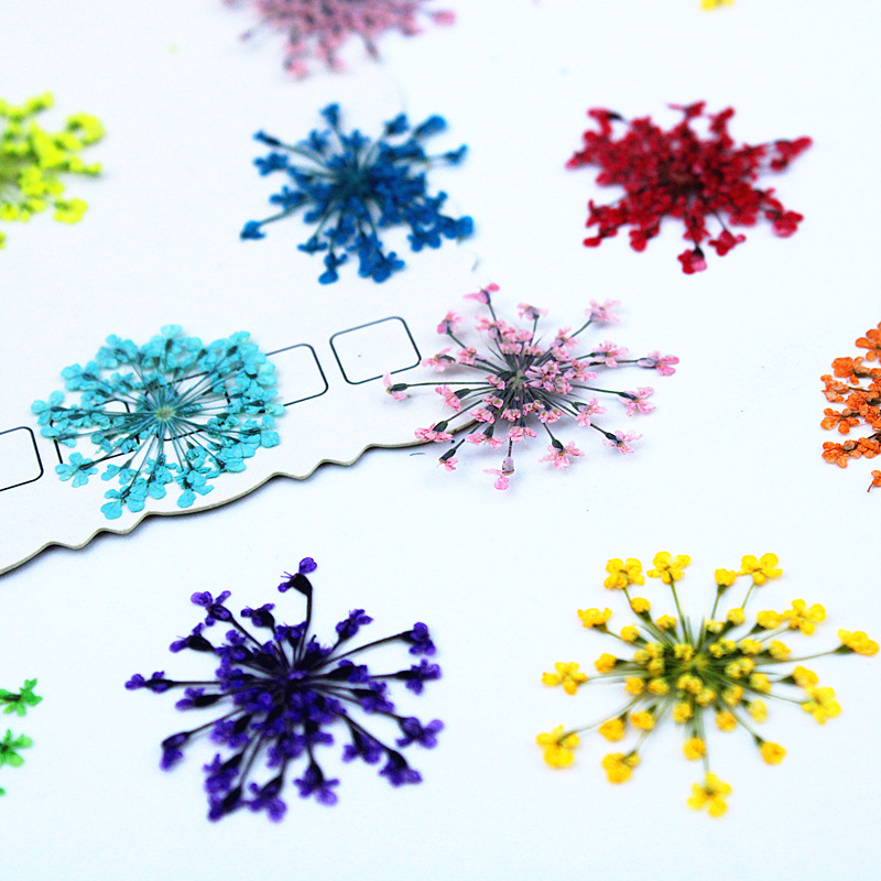 500pcs Lace Flowers Dried Flow - Dried Flower Bookmark avaliação e preço