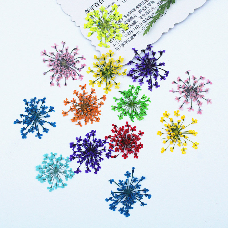 500pcs Lace Flowers Dried Flow - Dried Flower Bookmark avaliação e preço