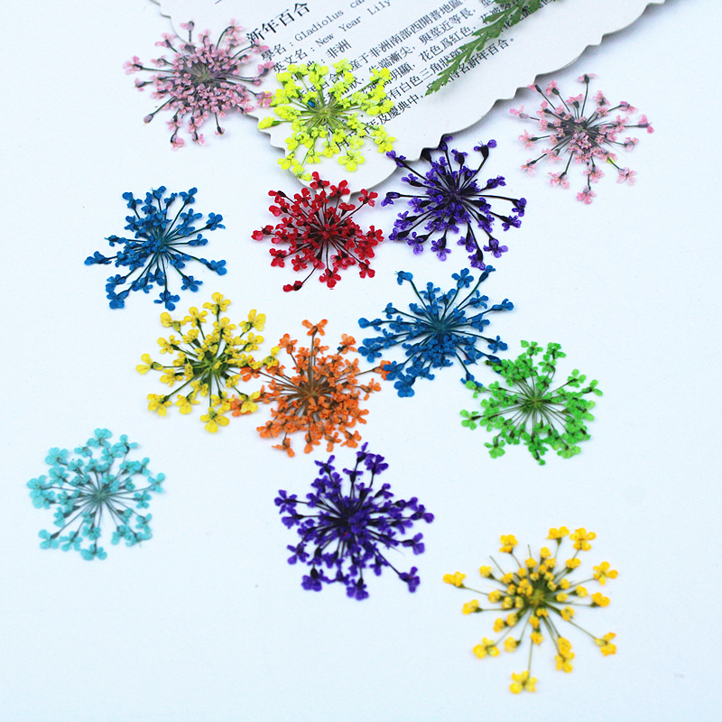 500pcs Lace Flowers Dried Flow - Dried Flower Bookmark avaliação e preço